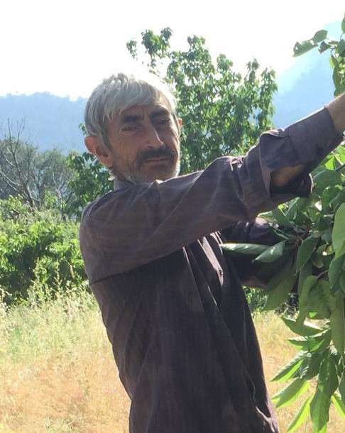 Kesilen ağacın altında kalan çiftçi hayatını kaybetti